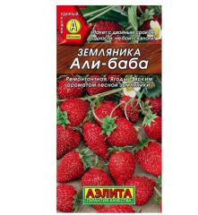 Земляника Али-Баба