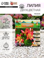 Лилия Двухцветная Trogon, луковица в пакете с перфорацией, р-р 12/14, 3 шт