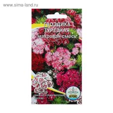 ЦЕНА ЗА 3 ШТ! 4149298 Семена цветов Гвоздика 