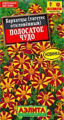 Бархатцы Полосатое Чудо Аэлита