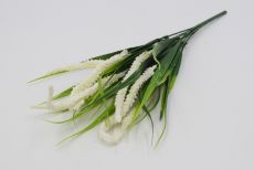 Куст пырей с эремурусом