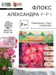 АКЦИЯ! 3 по цене 2! Флокс «Александра» корневище в пакете с торфогрунтом, р-р I, 2 шт