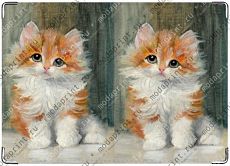 Kitty