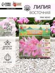 Лилия Восточная Pink News, луковица в пакете с перфорацией, р-р 12/14, 3 шт
