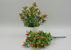 Куст перец 
