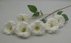 Ветка миндаль 