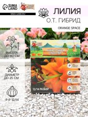 АКЦИЯ! 3 по цене 2! Лилия О.Т. Гибрид Orange Space, луковица в пакете с перфорацией, р-р 12/14, 2 шт