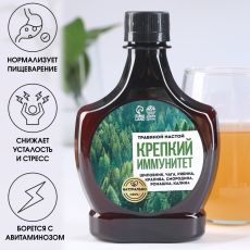 Бальзам «Крепкий иммунитет»: шиповник, чага, рябина, крапива, смородина, ромашка, калина, в пластиковой бутылке, 250 мл. 9145395