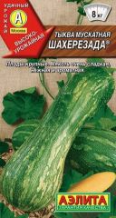 Тыква Шахерезада Аэлита мускатная