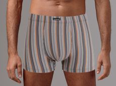 Трусы мужские GS7866 шорты Gentlemen