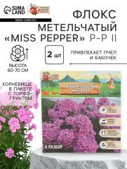 Флокс метельчтый Miss pepper корневище в пакете с торфогрунтом, р-р II, 2 шт
