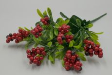 Куст боярышник 