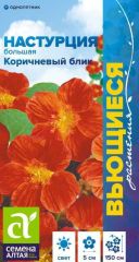 Настурция Коричневый Блик Сем.Алтая