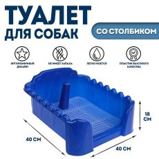 Туалет 