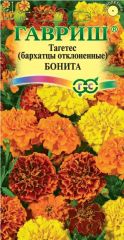 Бархатцы Бонита Гавриш