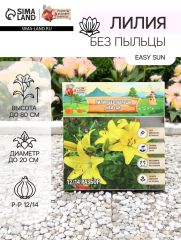 АКЦИЯ! 3 по цене 2! Лилия без пыльцы Easy Sun, луковица в пакете с перфорацией, р-р 12/14, 2 шт