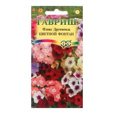 7613881 Семена цветов Флокс (Друммонда) 