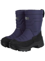 550473 NIKASTYLE Сапоги слива