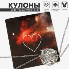 Кулоны парные «Волки инь-ян», 45 см, цвет серебро