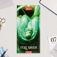 Календарь перекидной на ригеле «Год Змеи» 2025 год, 16.5×34 см