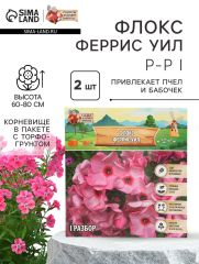 АКЦИЯ! 3 по цене 2! Флокс «Феррис Уил» корневище в пакете с торфогрунтом, р-р I, 2 шт