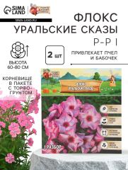 АКЦИЯ! 3 по цене 2! Флокс «Уральские сказы» корневище в пакете с торфогрунтом, р-р I, 2 шт