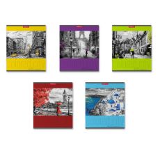 9509009 Тетрадь 48л кл ErichKrause Colored City, микс