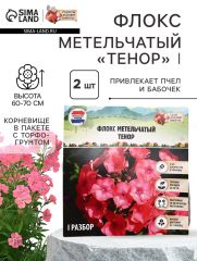 АКЦИЯ! 3 по цене 2! Флокс метельчатый «Тенор», корневище в пакете с торфогрунтом, р-р I, 2 шт