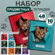 Комплект тетрадей 48 л. А5 клетка/линия, на скрепке,ЛЮБОПЫТНЫЙ КОТИК ,Schoolformat