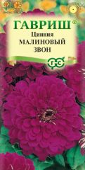 Цинния Малиновый Звон Гавриш