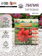 АКЦИЯ! 3 по цене 2! Лилия Тигровая Red Life, луковица в пакете с перфорацией, р-р 12/14, 2 шт