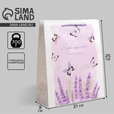 АКЦИЯ! ЦЕНА ЗА 3 ШТ! Пакет подарочный ламинированный, упаковка, Special for you, ML 21 х 25 х 8 см