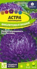 Астра Фиолетовая Башня Сем.Алтая