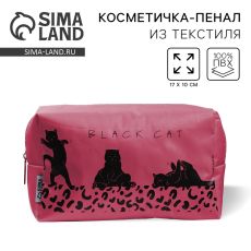 Косметичка Black Cat 17×10×5 см, на молнии