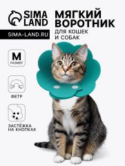 Ветеринарный воротник из фетра 
