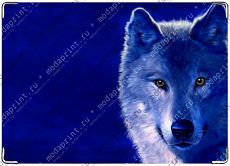 Woolf