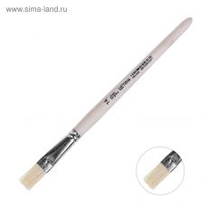 4352419 Кисть Щетина плоская №14 (ширина обоймы 14 мм; длина волоса 22 мм), деревянная ручка, Calligrata