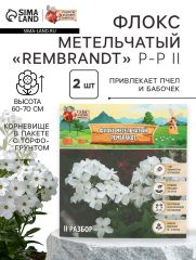 АКЦИЯ! 3 по цене 2! Флокс метельчтый Rembrandt корневище в пакете с торфогрунтом, р-р II, 2 шт