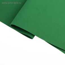 4668075 Фоамиран 50х50 см, 1 мм цв.темно-зеленый