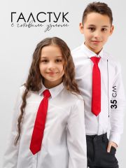 SP306A Соль&Перец Галстук красный