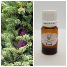11 Эфирное масло Ель синамская Picea abies L., 10 мл