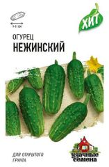 Огурец Нежинский