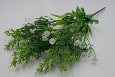 Куст зелени туя+кашка+пырей туя 