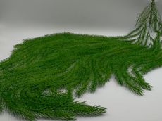 Куст еловый ампельный с кор. 