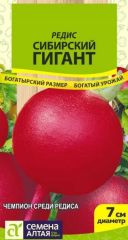 Редис Сибирский Гигант Сем.Алтая
