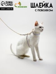 Комплект амуниции 