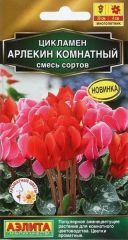 Цикламен Арлекин комнатный Аэлита
