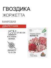 ЦЕНА ЗА 3 ШТ! 9469152 Семена Гвоздика бородатая 
