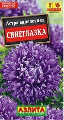 Астра Синеглазка сортотип Виктория