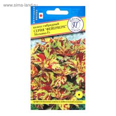 2743691 Семена цветов Колеус 